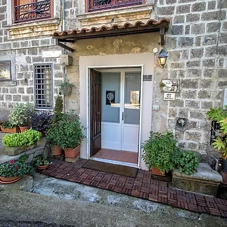 Domus Citri 3*