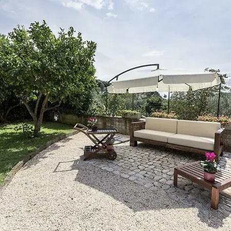 Bed & Breakfast Domus Citri *
